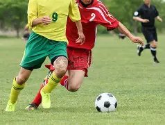 江苏队主教,练与球迷争,执起因揭秘,欧宝娱乐会员登录入口,欧宝娱乐官网,欧宝娱乐